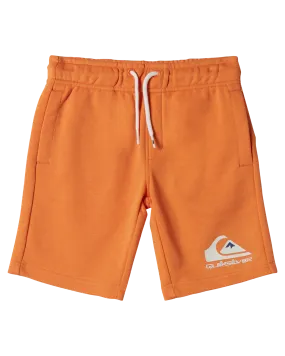 Boys Easy Day Jogger Shorts in Tangerine